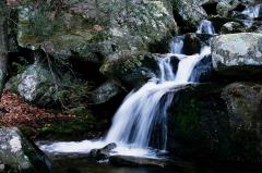 Parco Regionale dei Monti Simbruini