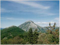 Riserva Naturale Navegna e Cervia